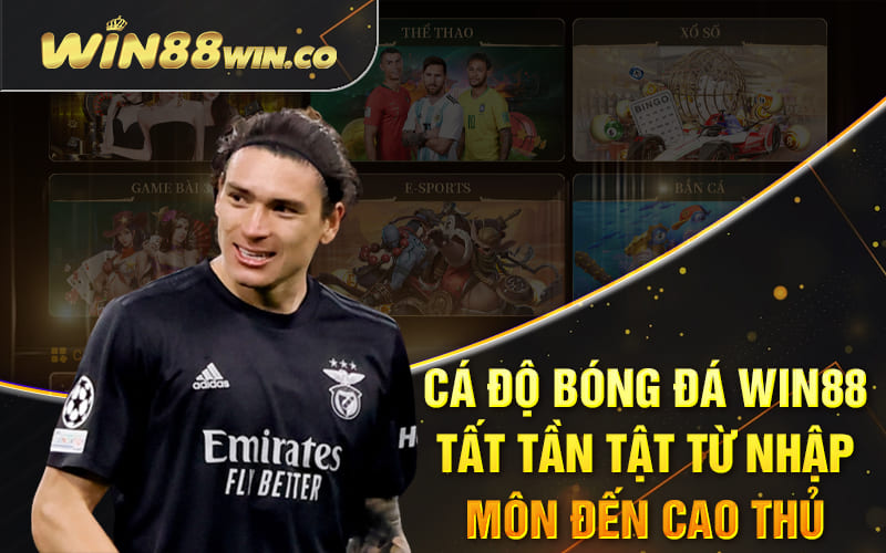 Cá Độ Bóng Đá Win88